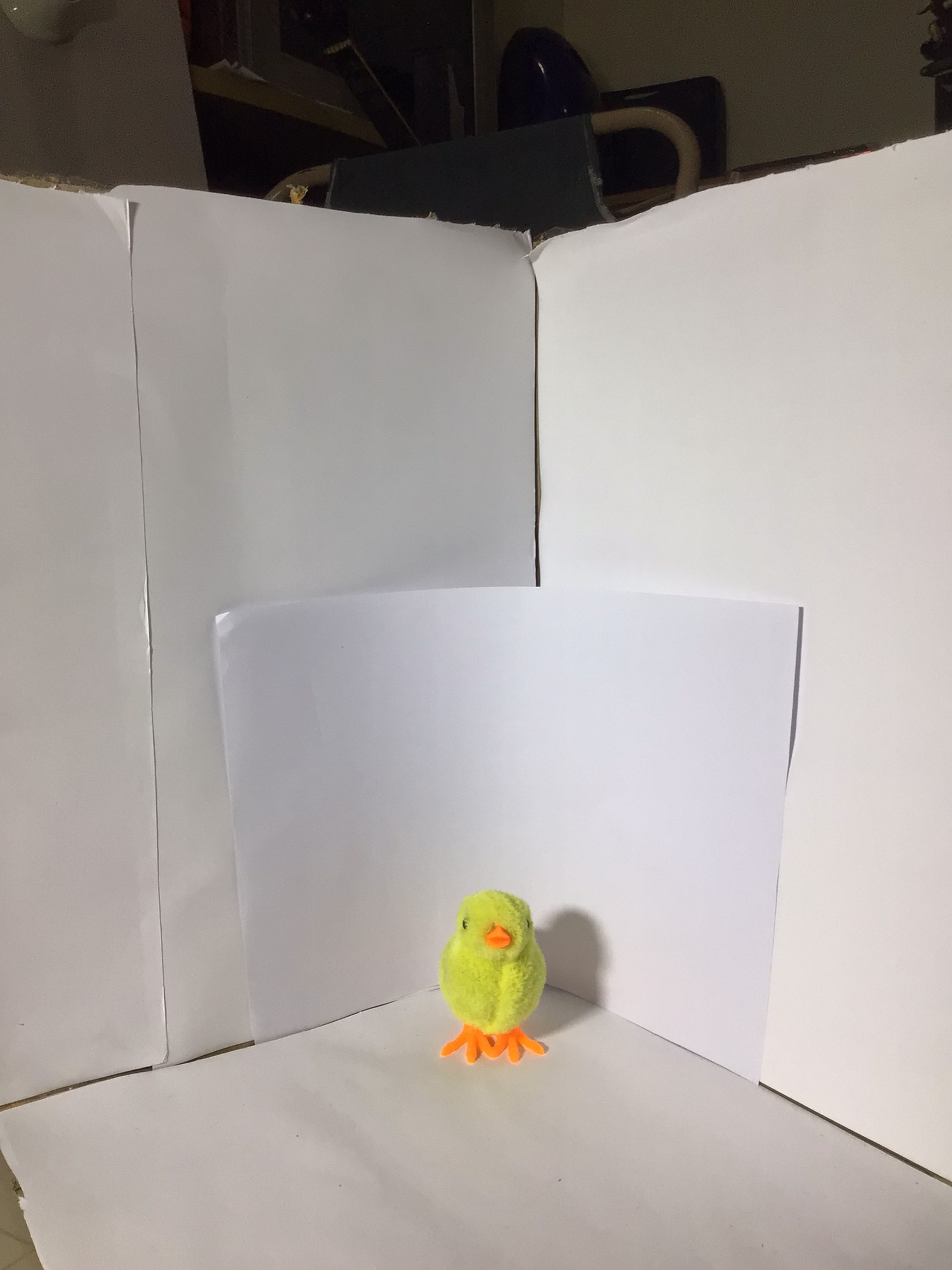 chicks Object Detection Dataset by new-workspace-wi9dy