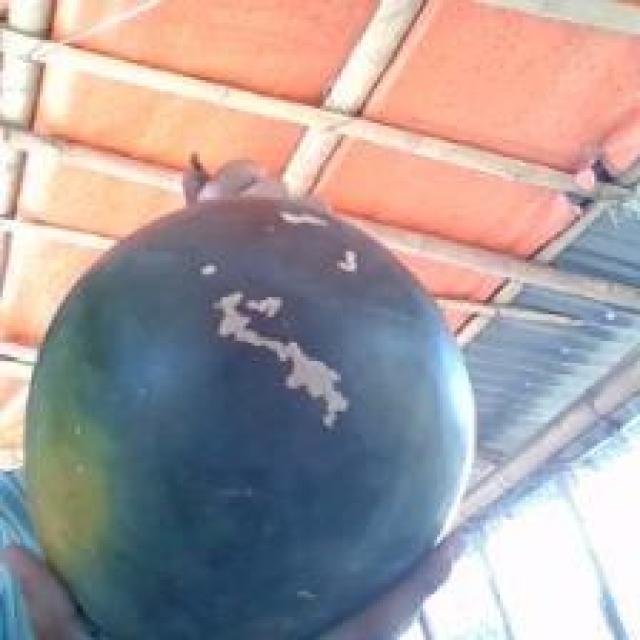Watermelon Object Detection Model by Fruit