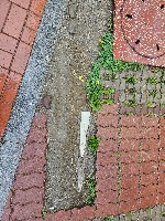 puddle-single-label-v3 project thumbnail