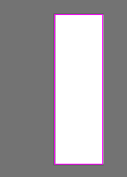 Animal project thumbnail