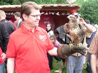 Flying Eagle project thumbnail