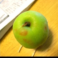Apple Recognition project thumbnail