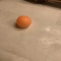 Ping Pong Detection project thumbnail
