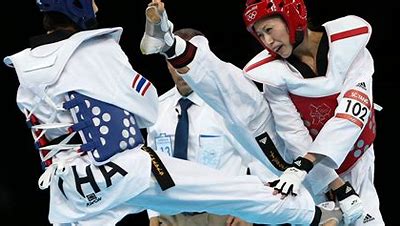 Taekwondo Object Detection Dataset and Pre-Trained Model by ANN