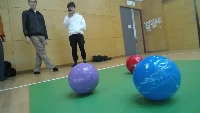 Dataset Image