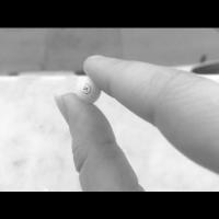 Merged_labeled_pills project thumbnail