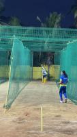 cricket ball project thumbnail
