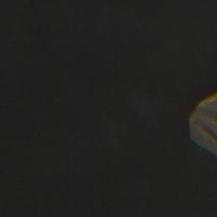 jute project thumbnail