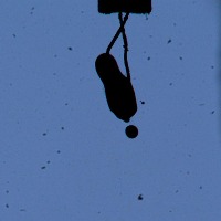 droplet ML(all stage) project thumbnail