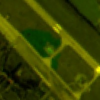 Segmentation project thumbnail