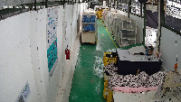 person-in-cutting-6 project thumbnail