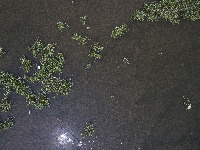 Save Rivers project thumbnail