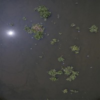 tet project thumbnail