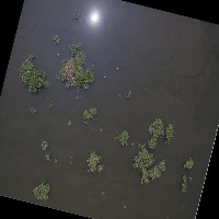 3Aug_cobine_prev_trained__1_63img project thumbnail