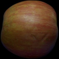 Dataset Image