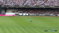 Umpire-non_umpire project thumbnail