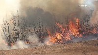 fire and smoke detection project thumbnail