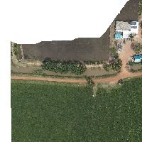 Ricefield instance project thumbnail