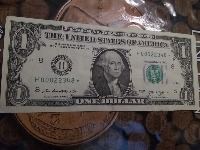 Wilter- US dollar 1 project thumbnail