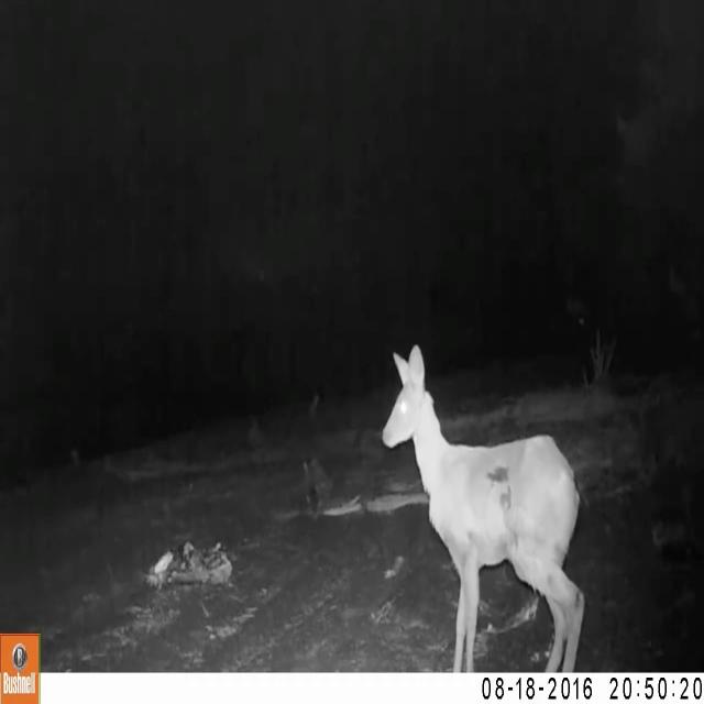 МЕГА ПАЧКА ЧИПСОВ ЛЕЙС С КРАБОМ Object Detection Dataset (v2, 2024-05 ...