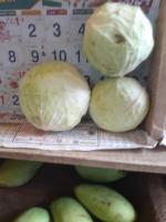 Fruits and Vegetables Annotation project thumbnail