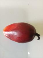 Deteksi Berondolan Buah Sawit project thumbnail
