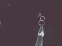 pipette_tip project thumbnail