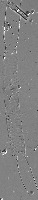 Diatom Object Classification project thumbnail