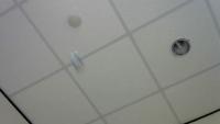 paper ball detection project thumbnail
