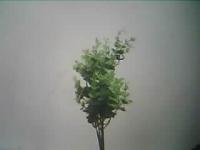 m_hastalik project thumbnail