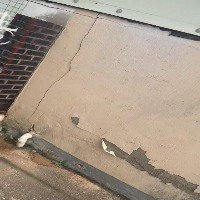 crack-Wallpeeling-(wallpeeling only)-OD project thumbnail