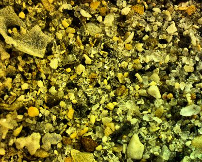 MicroplasticsSF Object Detection Dataset and Pre-Trained Model by new ...
