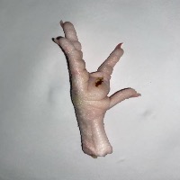 chiken project thumbnail