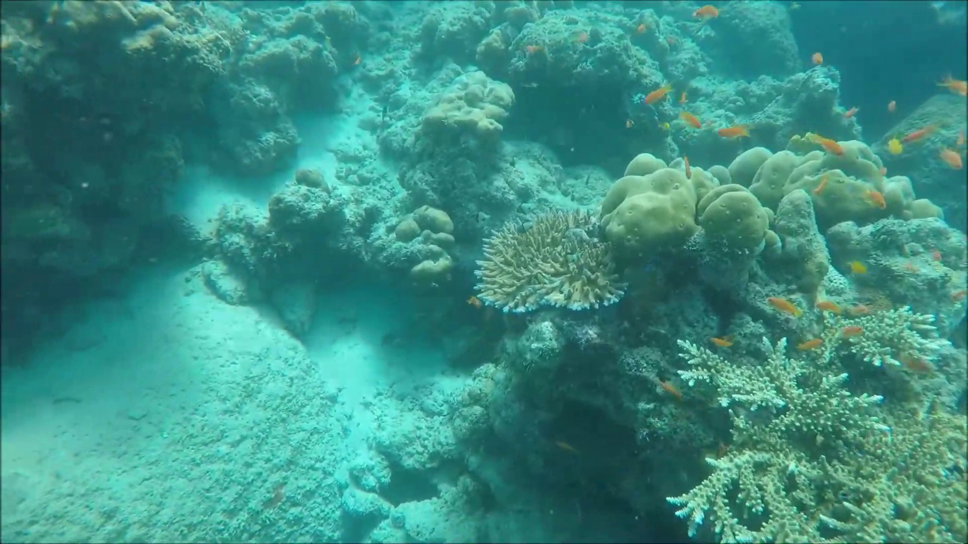 Nuthan Varma (nuthanvarmab5j2d) Roboflow Universe