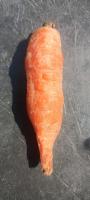 carrotBadGood project thumbnail