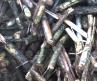 sugarcane-objdetec project thumbnail
