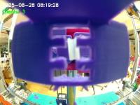STEM DETECTION project thumbnail