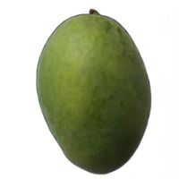 mango new  project thumbnail