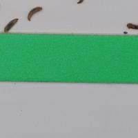 LARVAE_TRAIN project thumbnail