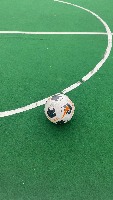 RoMeLa ball dataset augmentation project thumbnail