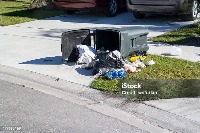 Trash project thumbnail