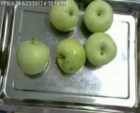Fruit and Veg Freshness Data 1 project thumbnail
