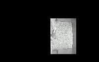 TopView.mask_frames.4IDs project thumbnail