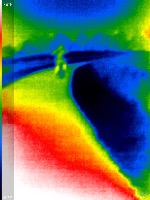 Thermal People Object Detection Model by New Jersey Institute of Technology