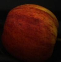 Diogo_2 project thumbnail