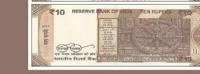 currency and animals project thumbnail