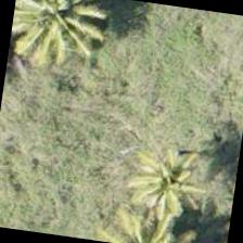 test1 Object Detection Model by FYP MIIT