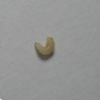 Maggot project thumbnail
