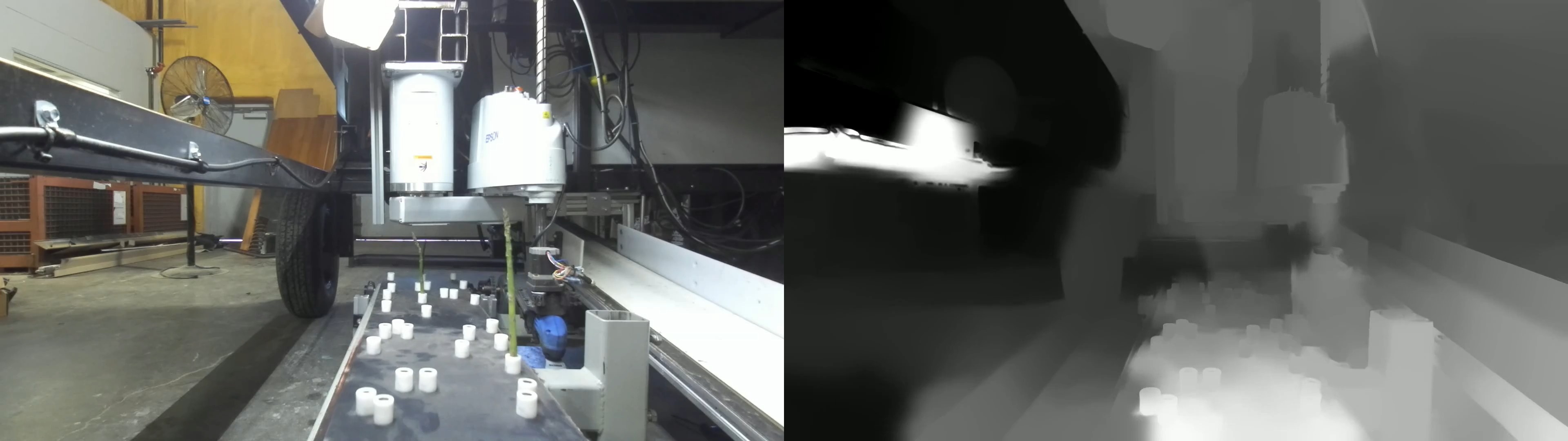 Test Rig Asparagus Object Detection Model by Public Workspace