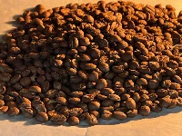 Light Roast project thumbnail